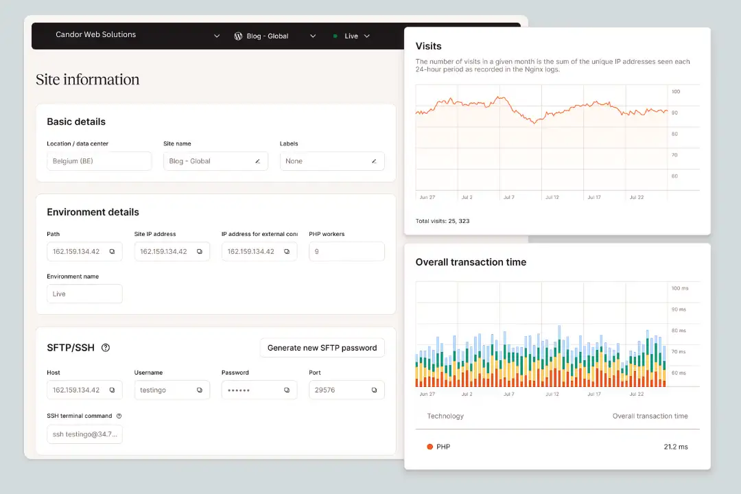 Website management Los angeles 